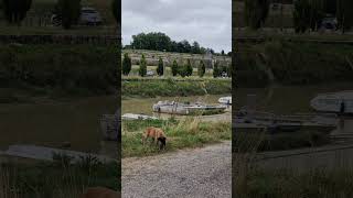 Blaye Gironde [upl. by Ecidnarb]