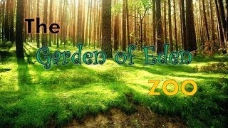 The Garden of Eden Zoo [upl. by Jandel]