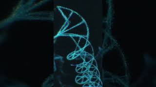 Structure of chromosome ramesh99 [upl. by Swayder354]