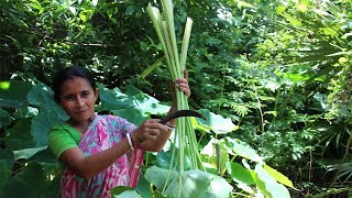 Kochu Shak Recipe Cooking by my Mother Best Process  Taro Leaf Recipe Indian Bangali Food [upl. by Shenan]