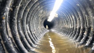 Does French Drain Work with Fabric Watch This Before You Install  PVC  Corrugated Pipe [upl. by Diraj482]