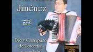 PRIMER AMOR Concertina Boliviana  cueca [upl. by O'Conner939]