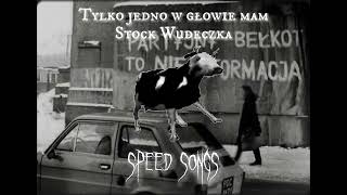 Tylko jedno w głowie mam  Polish Cow Song speed up [upl. by Ajet]