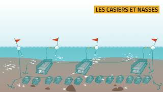 Les techniques de pêche  LES CASIERS ET NASSES [upl. by Stichter322]