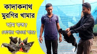 কাদাকনাথ মুরগির খামার  কোথায় পাওয়া যায় দাম কত কাদাকনাথ মুরগি পালন  সাফল্য কথা পর্ব ৬৭ [upl. by Gelasias]