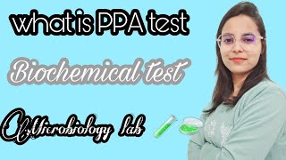 what is PPA test phenyl alanine pyruvic acid testppappatest biochemicalmicrobiologybacteria [upl. by Dnumsed982]