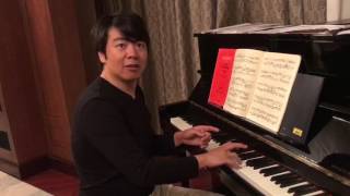 Lang Lang Lesson 4 [upl. by Agueda]