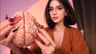 ASMR Brain Melting Triggers to Help You Sleep [upl. by Aikim]