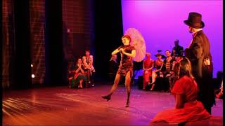 Tapestry Dance Company reel [upl. by Tildie]