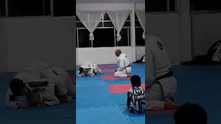 Francisco Wermelinger no jiu jitsu [upl. by Holihs418]