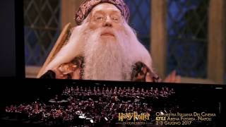 Harry Potter e la Pietra Filosofale ™ 30 sec  NAPOLI Arena Flegrea 23 Giugno 2017 [upl. by Noah]