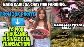 KUMITA NG 140K THOUSAND IN SINGLE DEAL TRANSACTION NG DAHIL LANG SA CRAYFISH FARMINGJACKPOT C MAM😱 [upl. by Bartle]