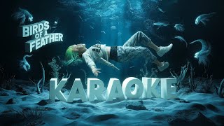 Billie Eilish  BIRDS OF A FEATHER  Karaoke With Lyrics [upl. by Ericha]