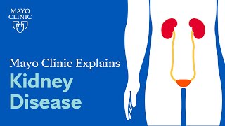 Mayo Clinic Explains Kidney Disease [upl. by Gilud749]