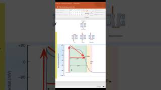 Refractory periods in cardiac muscle Cardiac Cycle l1st Year MBBS youtubeshorts youtube ytshorts [upl. by Sokem82]