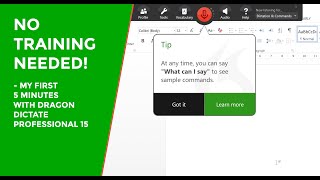 Dragon Professional 15  No Training Needed FIRST 5 MINS USE [upl. by Ydnarb150]