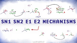 SN1 SN2 E1 E2 Reaction Mechanism Overview [upl. by Leterg]