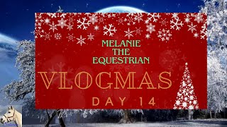 Advent Calendar Puzzle 14Horses amp Barn Cats In The Month Of November 2023 Vlogmas Day 14 [upl. by Petracca979]