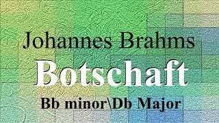 Botschaft  Johannes Brahms  accompaniment  Bb minorDb Major [upl. by Suivatnad710]