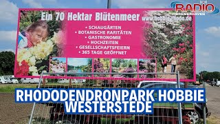 Rhododendronpark Hobbie Westerstede [upl. by Issac556]