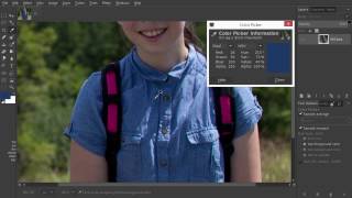 Using the Color Picker in Gimp 28 [upl. by Alikee545]