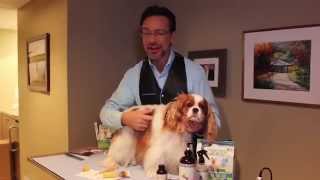 Jorge Benderskys Grooming Tips  Web Extra  The Meredith Vieira Show [upl. by Ziza]