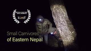 Small Carnivores in Tinjure Milke Jaljale Eastern Nepal [upl. by Brianna422]