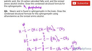 Drawing Sphingomyelin Structures [upl. by Macpherson]