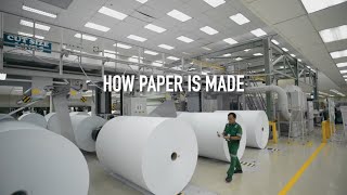 How Paper Is Made [upl. by Nahgaem759]