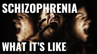 What its like to have schizophrenia [upl. by Ruyle]