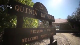 ESSÊNCIA DO VINHO TV  Quinta da Roêda [upl. by Marelya]