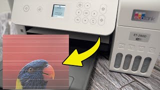 How to Fix Epson EcoTank Printing Lines amp Stripes [upl. by Aihsenal]