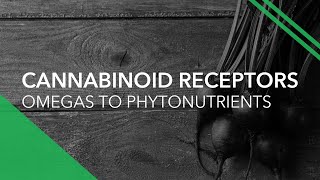 Cannabinoid Receptors From Omegas to Phytonutrients [upl. by Keelby]