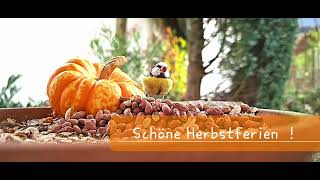 Schöne Herbstferien [upl. by Tneciv446]