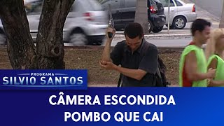 Pombo que Cai  Câmeras Escondidas 180421 [upl. by Klenk503]