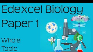 The whole of Edexcel Biology Paper 1  Revision for 91 GCSE Bio Combined Science [upl. by Akselav]