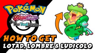 Pokemon Scarlet amp Violet The Teal Mask DLC  How To Get Lotad Lombre amp Ludicolo [upl. by Hernardo]