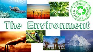 The Environment  Learn English [upl. by Leinoto]