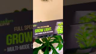 New Grow Light gardening indoorplants growyourownfood bloomlume [upl. by Sathrum717]