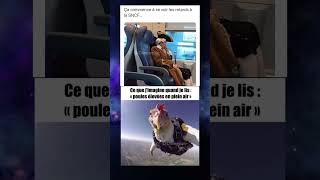 La poule 😭😭 mdr memes viralvideo pourtoi drole humour [upl. by Latsirk125]