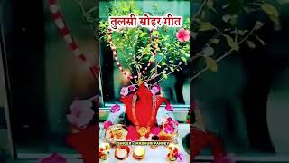 11 November Shuru Ho2024 🌺💐ne Wali Hai 600 se Tulsi Man ki shaadi🙏 [upl. by Hebner227]