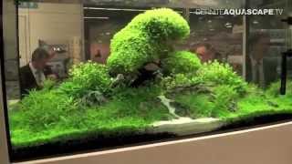 Aquarium ideas from InterZoo 2014 pt32  OASE GmbH [upl. by Anailil]