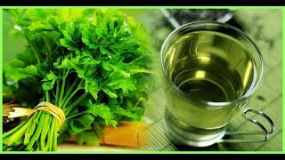 Coriander Juice to purify your Kidneys [upl. by Wildermuth274]