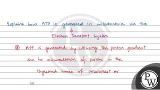 Chemiosmotic theory of ATP synthesis in chloroplasts and mitochondria is based on [upl. by Ylicec734]