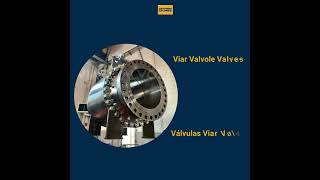 Viar Valvole Valves  Válvula Viar Valvole [upl. by Brote233]