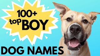 Top 100 Unique MALE Dog Names– Unusual Male Dog Names [upl. by Wj186]