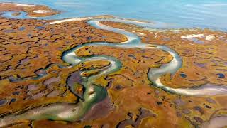 Cape Cod Grays Beach Amber amp Gold Marshes Drone Video [upl. by Neri]