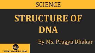 Structure of DNA BSc MSc lecture by Pragya Dhakar I Guru Kpo [upl. by Gurney]