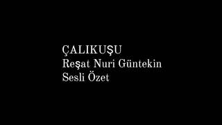 Çalıkuşu Romanı Reşat Nuri Güntekin Sesli Özet [upl. by Hinze602]