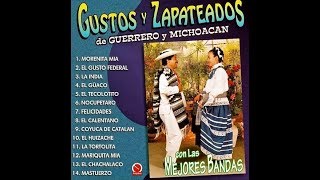 Gustos Y Zapateados De Guerrero Y Michoacán Vol 1 Album 2015 [upl. by Abdul696]